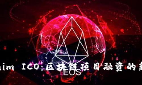 Tokenim ICO：区块链项目融资的新选择