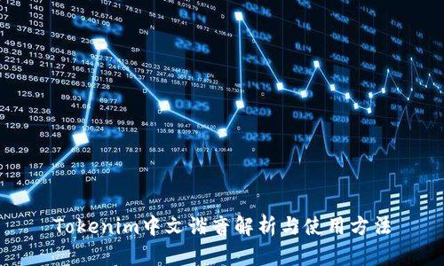 Tokenim中文谐音解析与使用方法