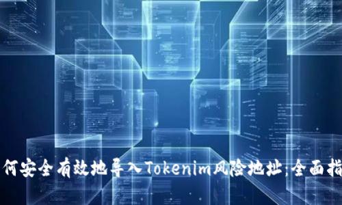 如何安全有效地导入Tokenim风险地址：全面指南