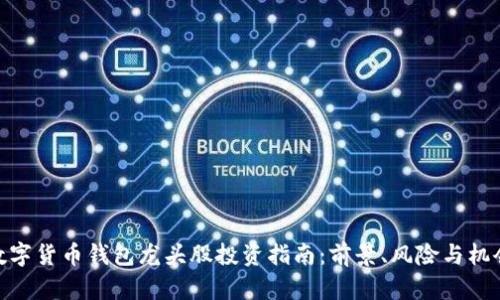 数字货币钱包龙头股投资指南：前景、风险与机会