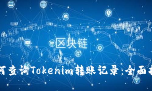 如何查询Tokenim转账记录：全面指南