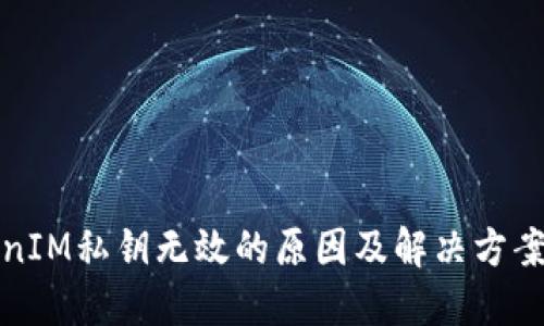 TokenIM私钥无效的原因及解决方案详解