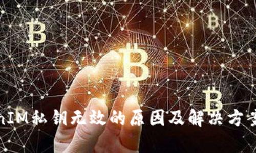 TokenIM私钥无效的原因及解决方案详解