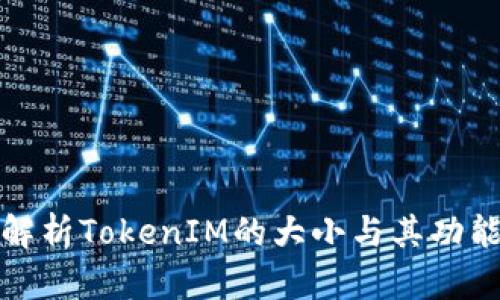 全面解析TokenIM的大小与其功能优势