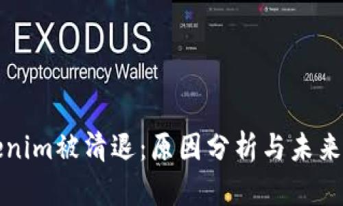 Tokenim被清退：原因分析与未来展望