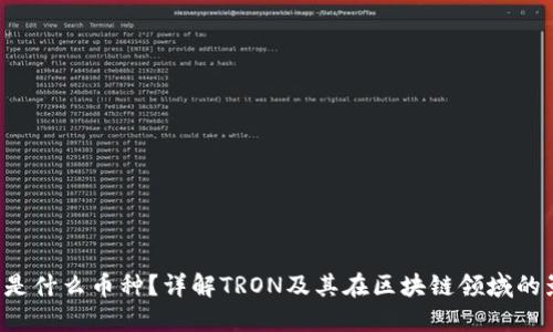 TRX是什么币种？详解TRON及其在区块链领域的影响