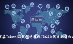 如何在Tokenim钱包中转账TRC20代币的详细指南