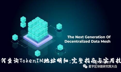如何查询TokenIM地址明细：完整指南与实用技巧