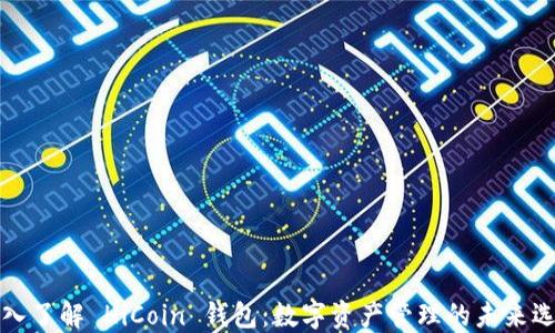 
深入了解 HiCoin 钱包：数字资产管理的未来选择