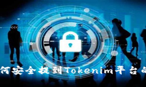 SHIB币如何安全提到Tokenim平台的详细指南