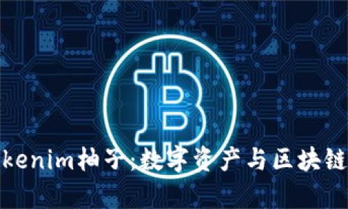 深入解析Tokenim柚子：数字资产与区块链技术的结合