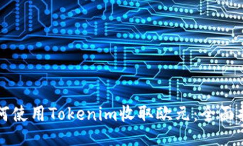 如何使用Tokenim收取欧元：全面指南