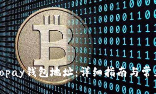 如何找到Topay钱包地址：详细指南与常见问题解答