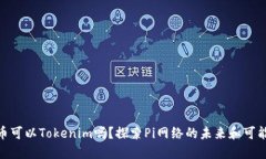 Pi币可以Tokenim吗？探索Pi网络的未来和可能性