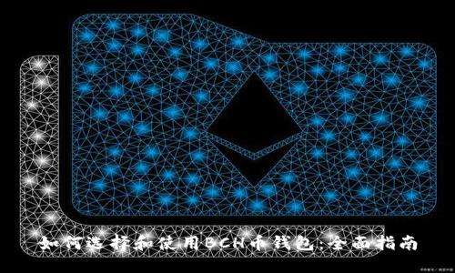 如何选择和使用BCH币钱包：全面指南