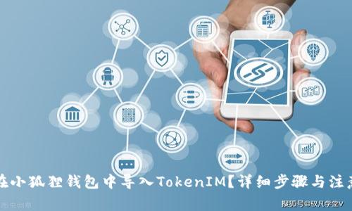 如何在小狐狸钱包中导入TokenIM？详细步骤与注意事项