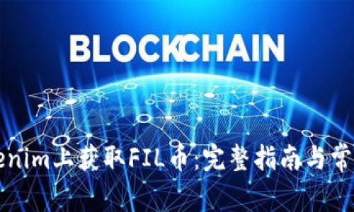 如何在Tokenim上获取FIL币：完整指南与常见问题解析
