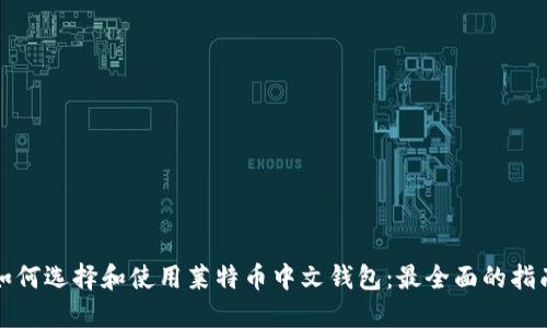 如何选择和使用莱特币中文钱包：最全面的指南