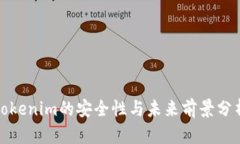 Tokenim的安全性与未来前景分析