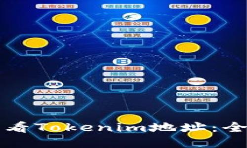 如何查看Tokenim地址：全面指南