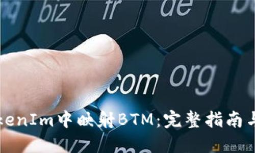 如何在TokenIm中映射BTM：完整指南与最佳实践