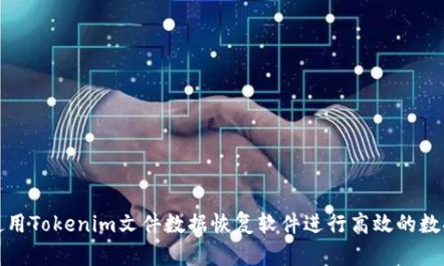 如何使用Tokenim文件数据恢复软件进行高效的数据恢复