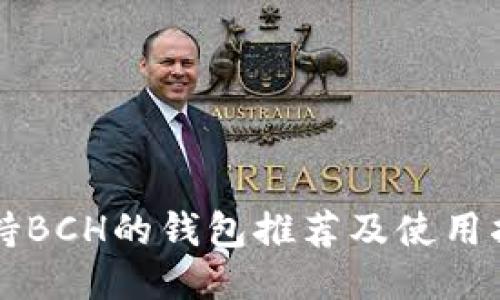 支持BCH的钱包推荐及使用指南