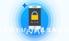 2023年支持BitPay的最佳加密钱包推荐