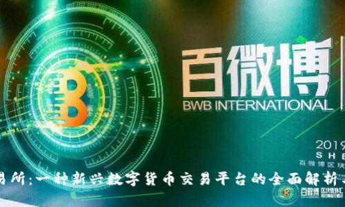 盛源币交易所：一种新兴数字货币交易平台的全面解析与发展前景