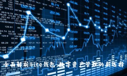 全面解析Bite钱包：数字资产管理的新选择