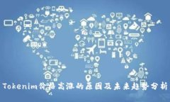 Tokenim价格高涨的原因及未来趋势分析