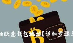 :如何查看自己的欧意钱包地址？详细步骤与常见