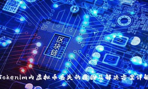 Tokenim内虚拟币丢失的原因及解决方案详解