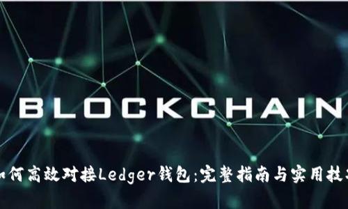 如何高效对接Ledger钱包：完整指南与实用技巧
