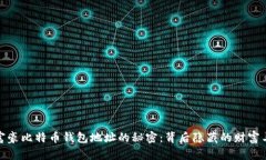 揭开富豪比特币钱包地址的秘密：背后隐藏的财