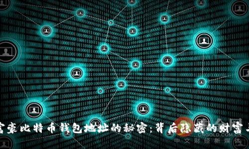 揭开富豪比特币钱包地址的秘密：背后隐藏的财富与风险