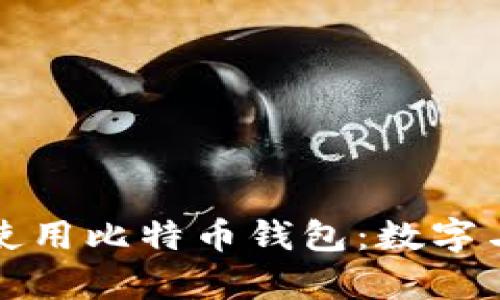 如何安全管理和使用比特币钱包：数字与字母的简单指南