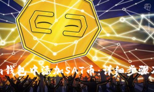 如何在Tokenim钱包中添加SAT币：详细步骤及常见问题解答