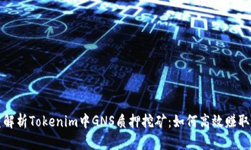 深度解析Tokenim中GNS质押挖矿：如何高效赚取收益