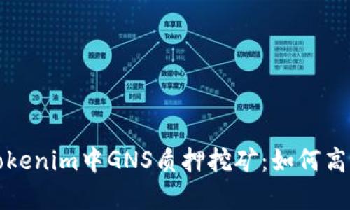 深度解析Tokenim中GNS质押挖矿：如何高效赚取收益