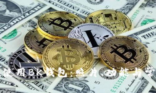 如何安全地使用BK钱包：照片、功能与常见问题解析