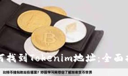 如何找到Tokenim地址：全面指南
