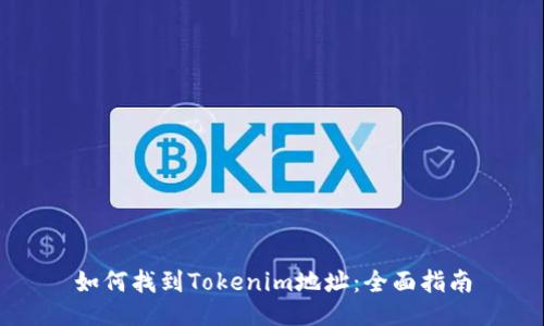 如何找到Tokenim地址：全面指南