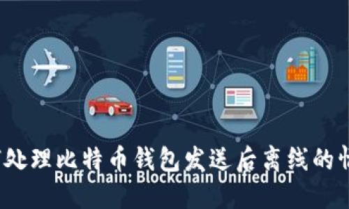 如何处理比特币钱包发送后离线的情况？