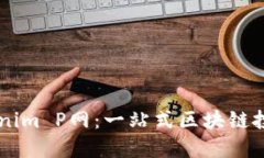 深入了解Tokenim P网：一站式区块链投资与交易平