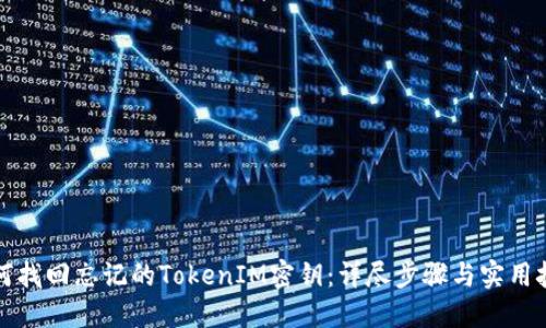 如何找回忘记的TokenIM密钥：详尽步骤与实用技巧