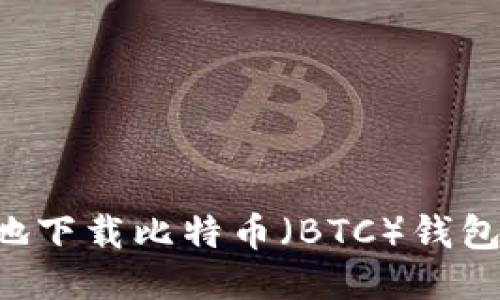 如何安全高效地下载比特币（BTC）钱包应用：全面指南
