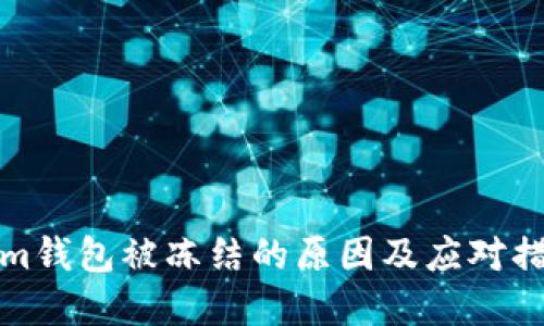 Tokenim钱包被冻结的原因及应对措施详解