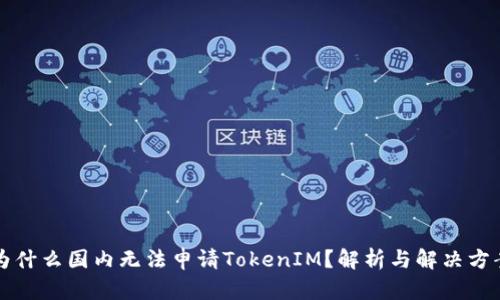 为什么国内无法申请TokenIM？解析与解决方案