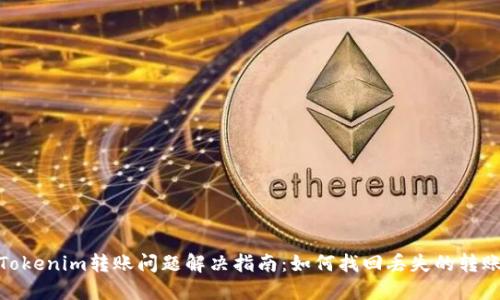 Tokenim转账问题解决指南：如何找回丢失的转账